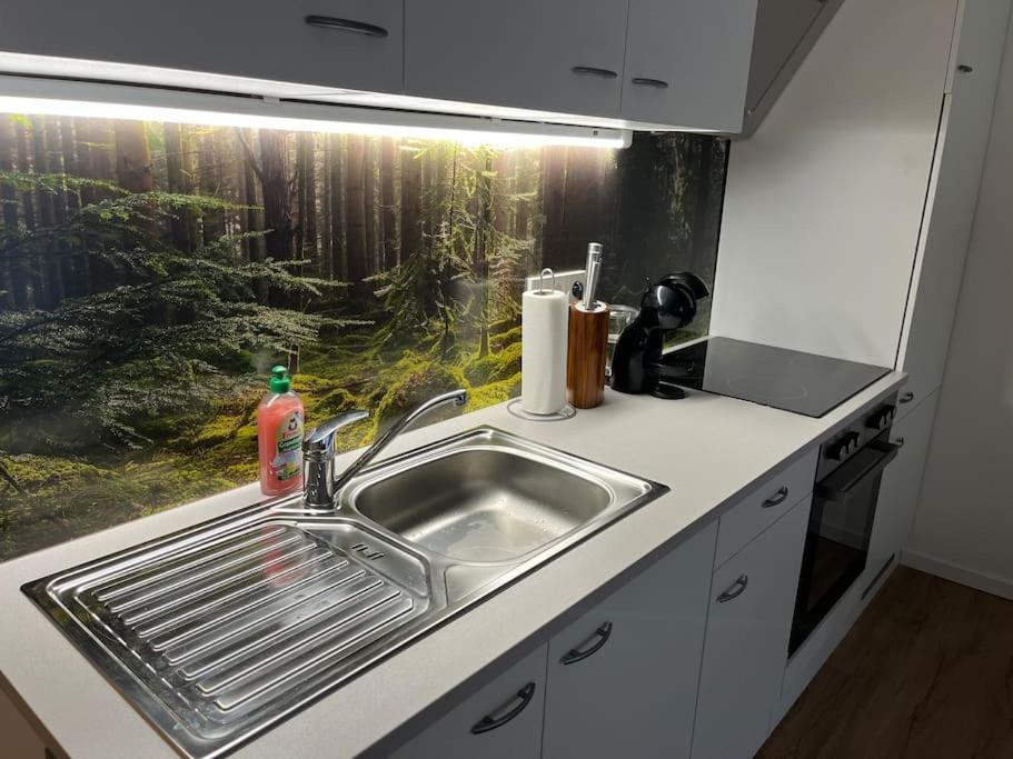 Gemuetliches 4Er Apartment In Skilift-Naehe เซลล์อัมเซ ภายนอก รูปภาพ